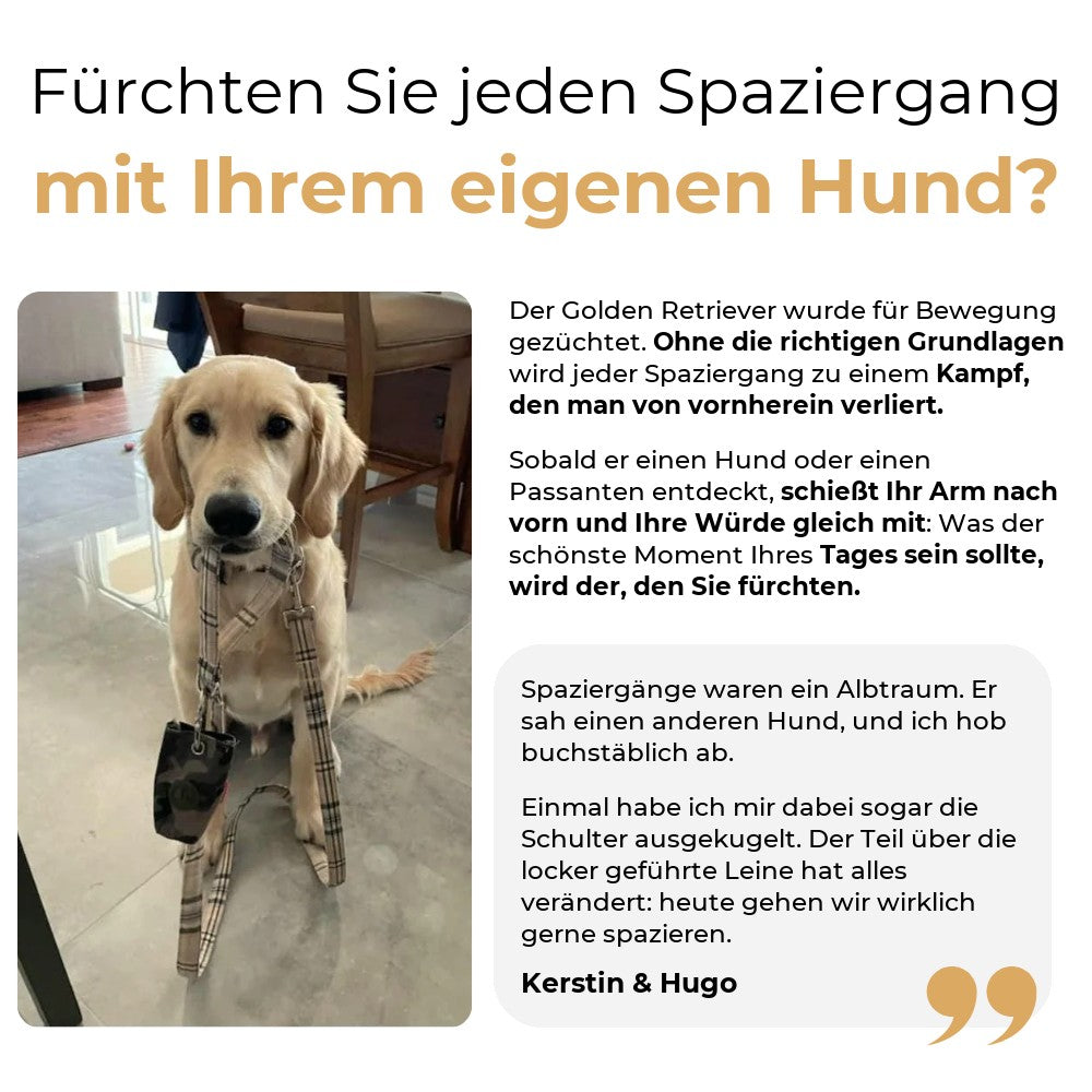Spaziergang ohne Ziehen an der Leine