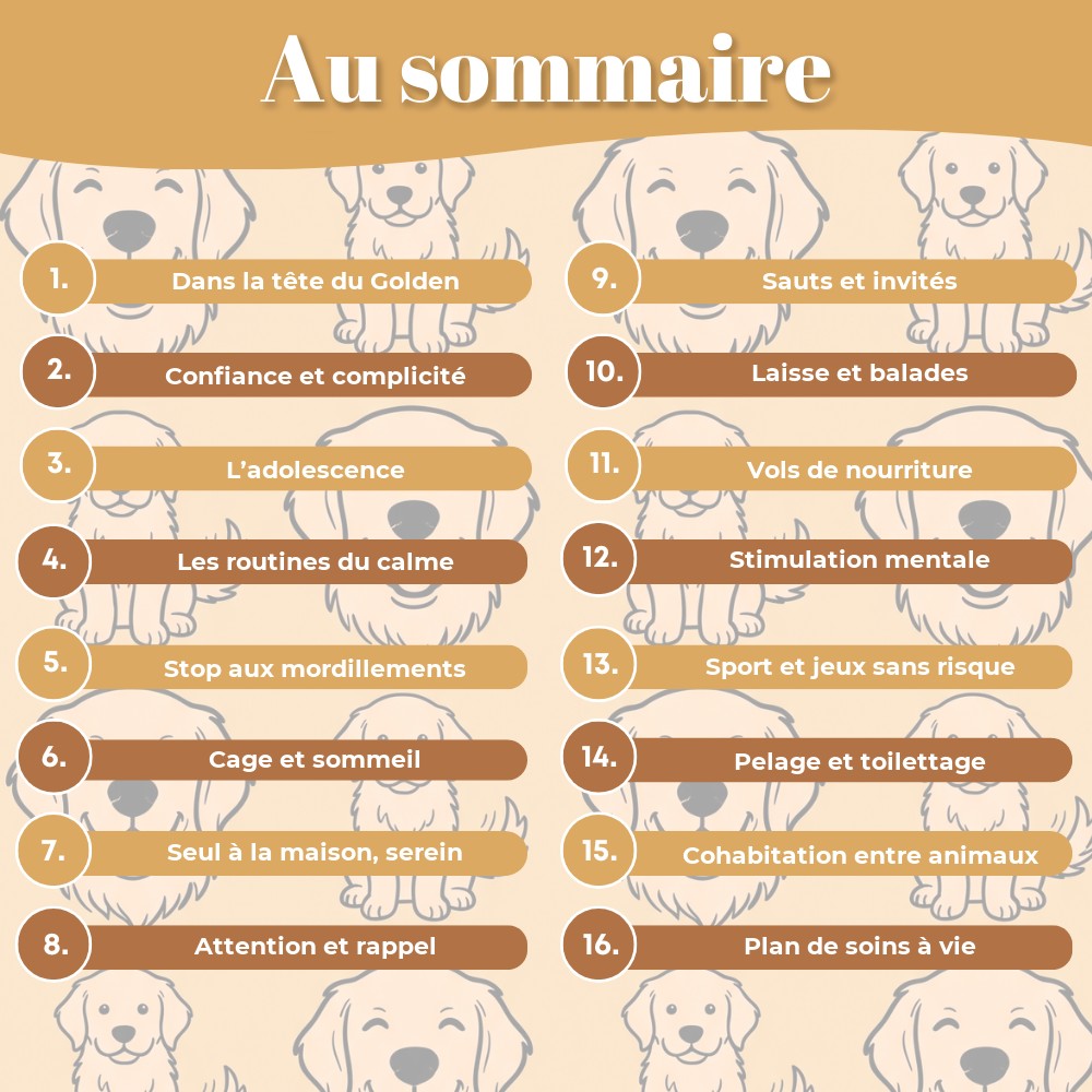Au sommaire : les 16 chapitres du guide