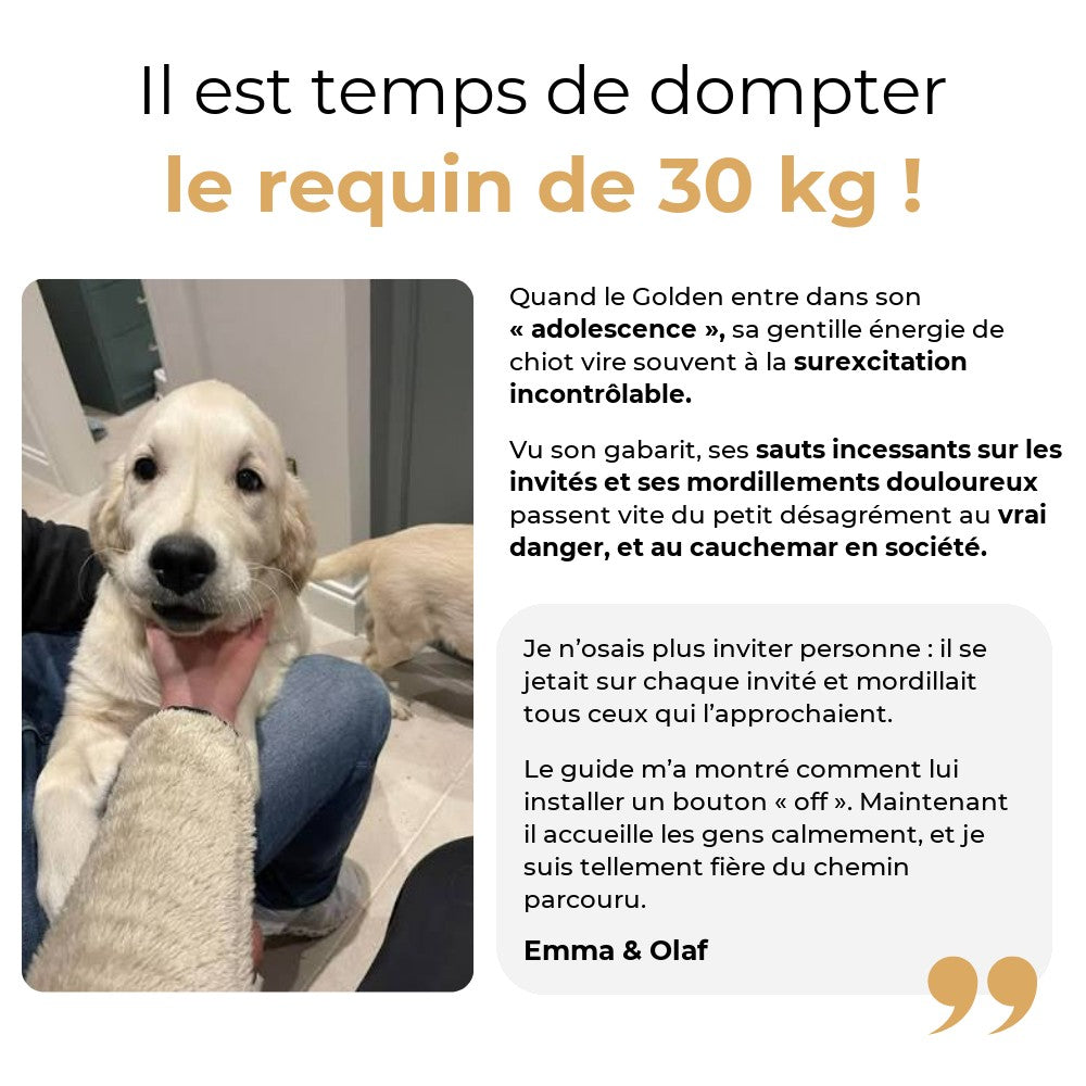 Il est temps de dompter le requin de 30 kg