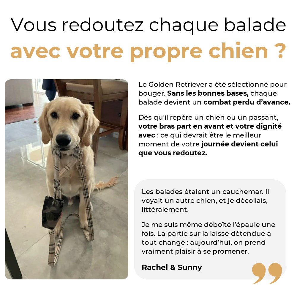Vous redoutez chaque balade avec votre propre chien ?