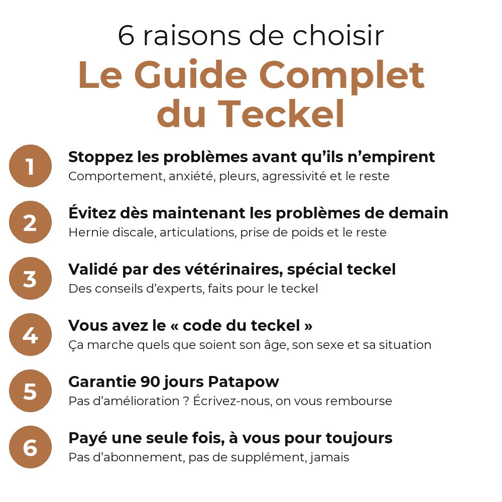 6 raisons de choisir Le Guide Complet du Teckel