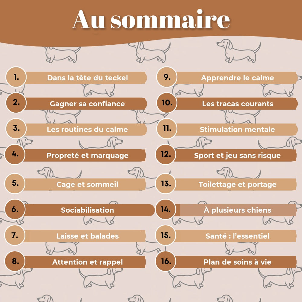 Au sommaire : les 16 chapitres du Guide Complet du Teckel