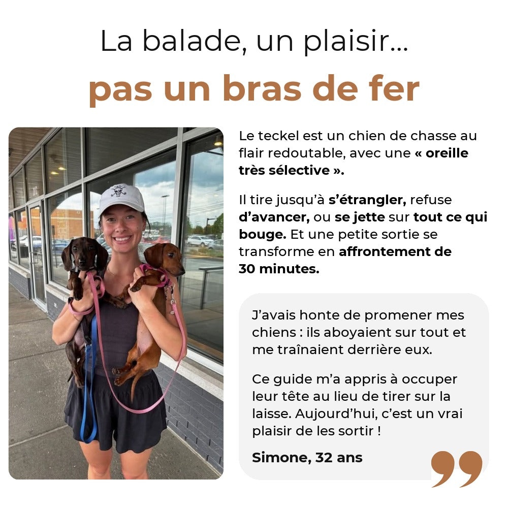 Teckel qui tire en laisse pendant la balade