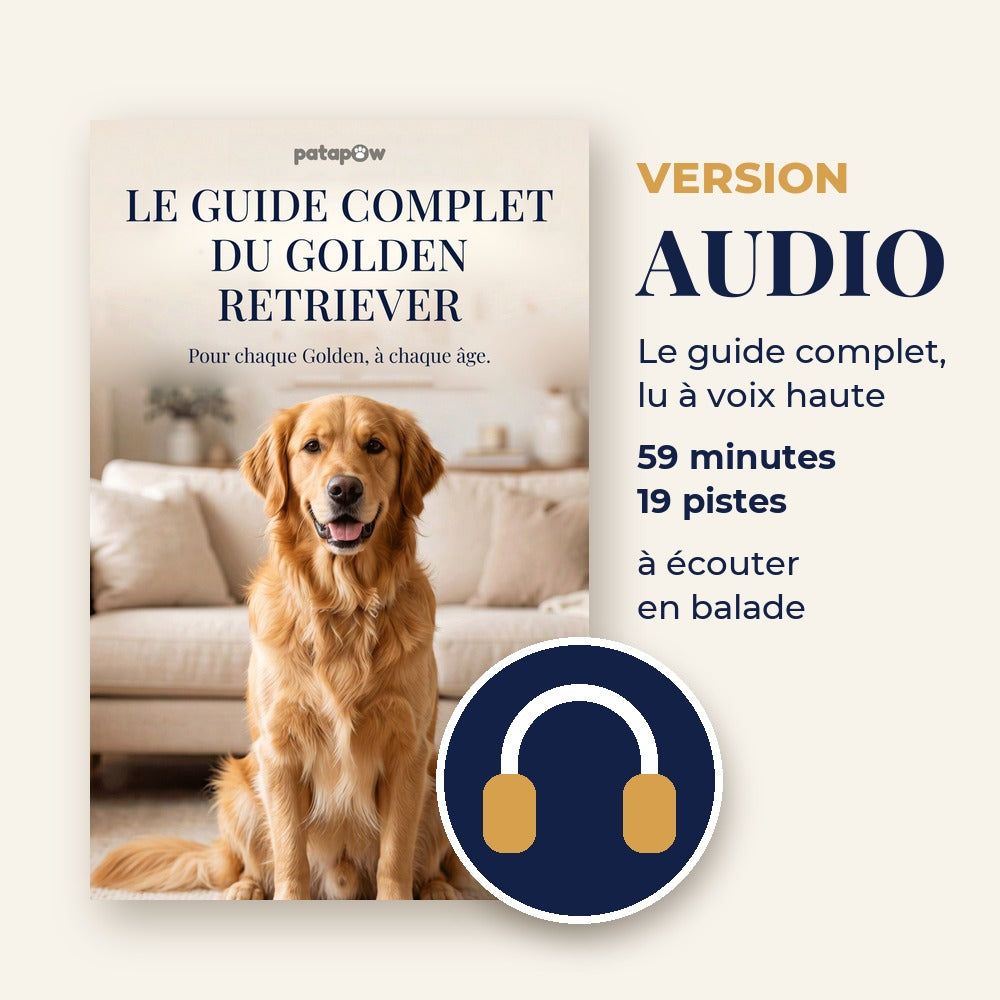 Le Guide Complet du Golden Retriever en version audio, le guide Patapow