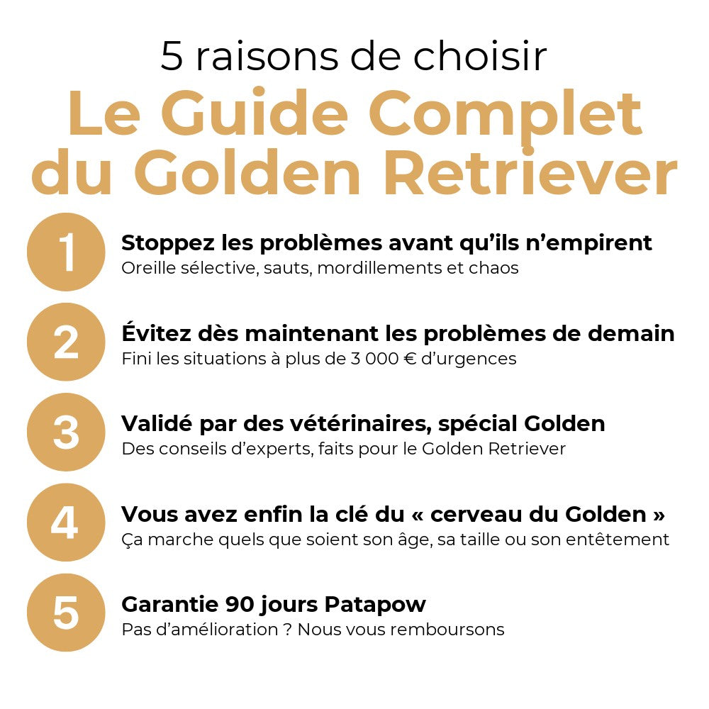 5 raisons de choisir Le Guide Complet du Golden Retriever