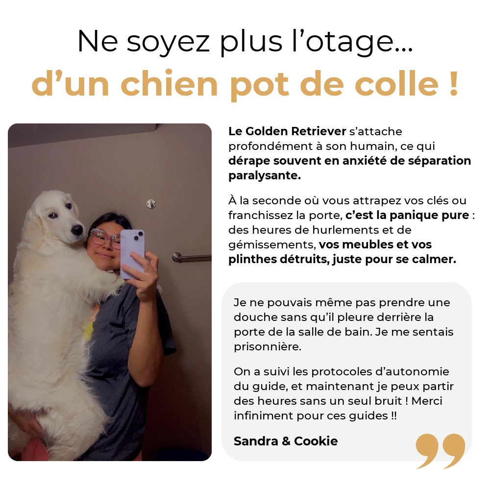Ne soyez plus l’otage d’un chien pot de colle