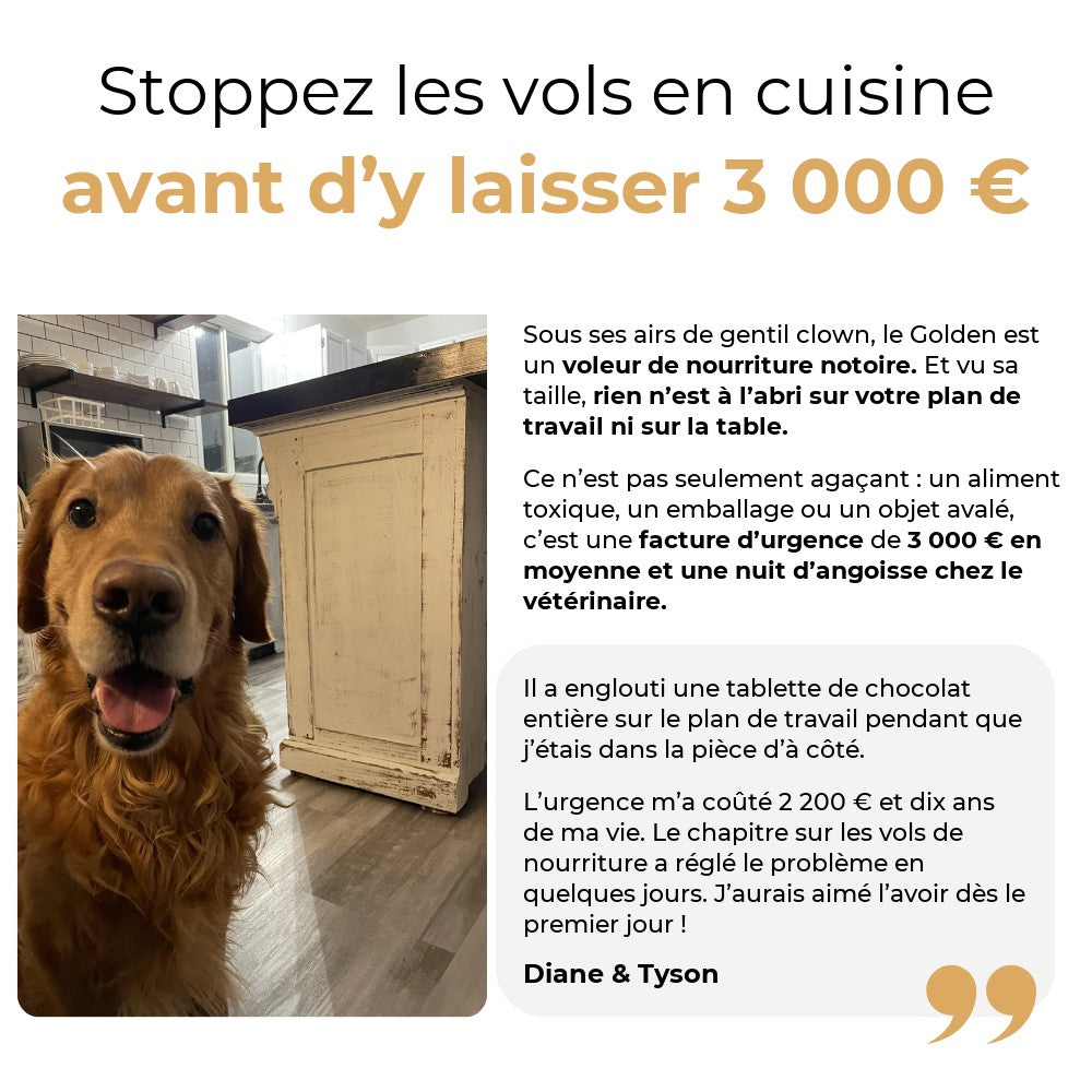 Stoppez les vols en cuisine avant d’y laisser 3 000 €