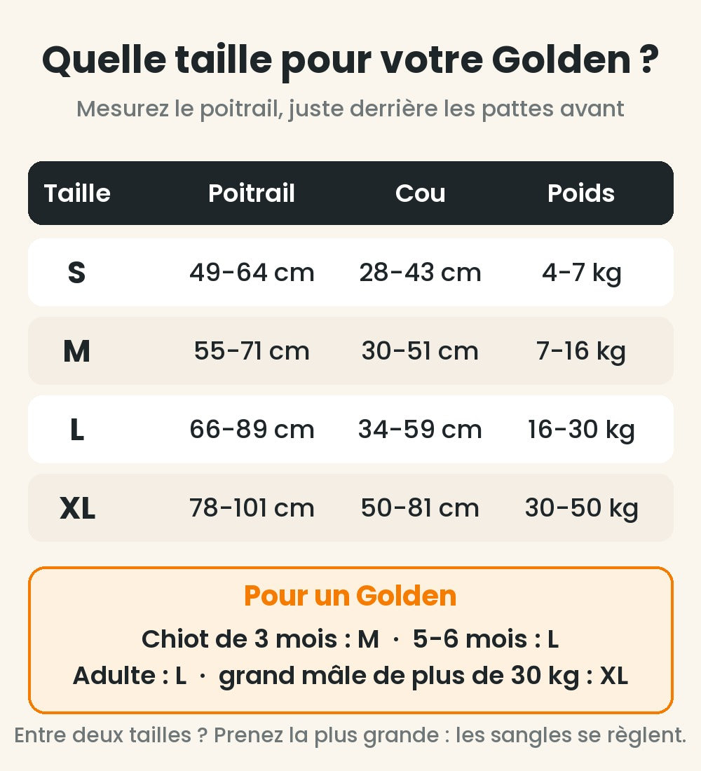 Guide des tailles du harnais