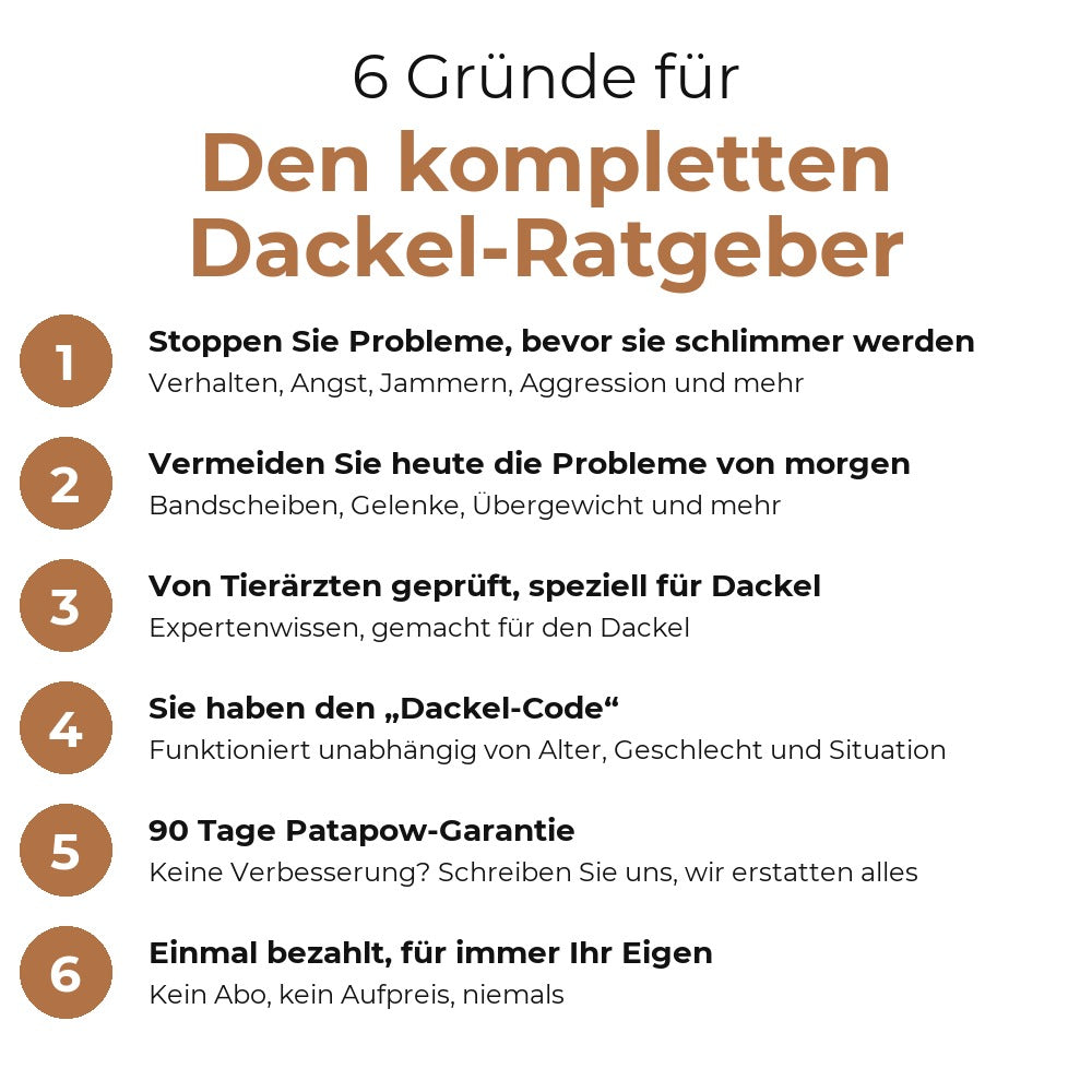 6 Gründe für den kompletten Dackel-Ratgeber